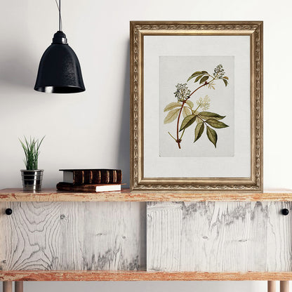 Quadro