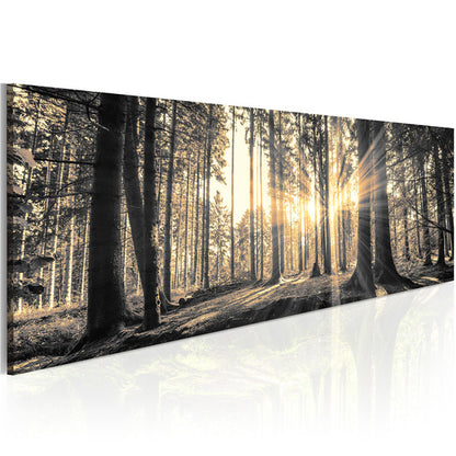 Quadro senza cornice