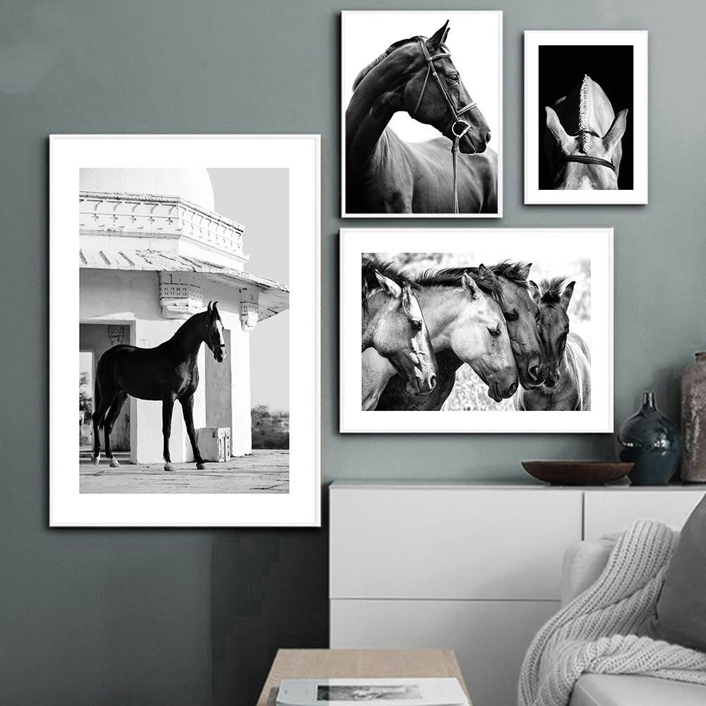 Quadro Cavallo Bianco e Nero