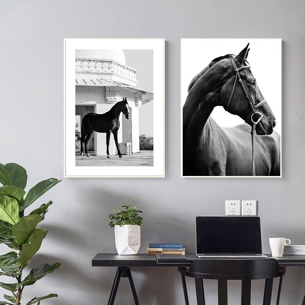 Quadro Cavallo Bianco e Nero