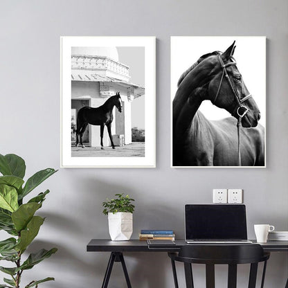 Quadro Cavallo Bianco e Nero