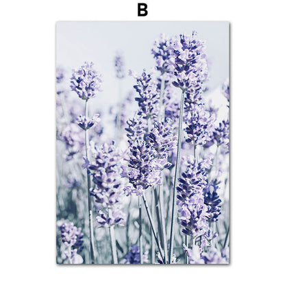 Poster Campo Lavanda