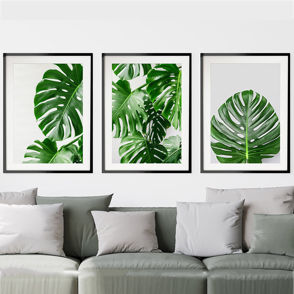 Quadro pianta verde