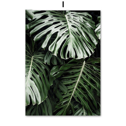 Quadro natura