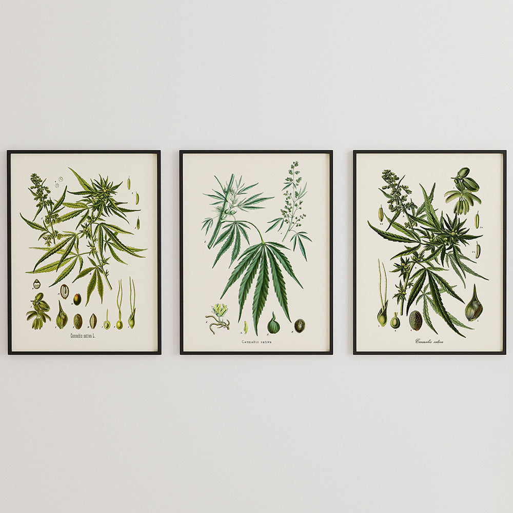 Quadro su tela
