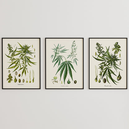 Quadro su tela