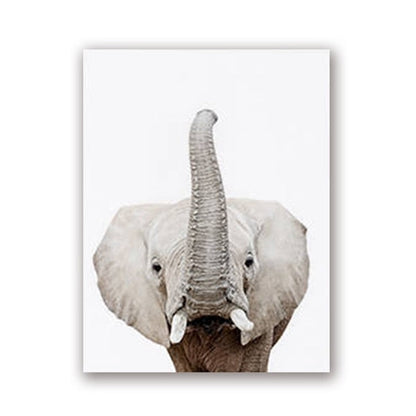 Quadro fauna selvatica