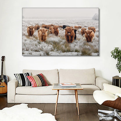 Quadro mucche