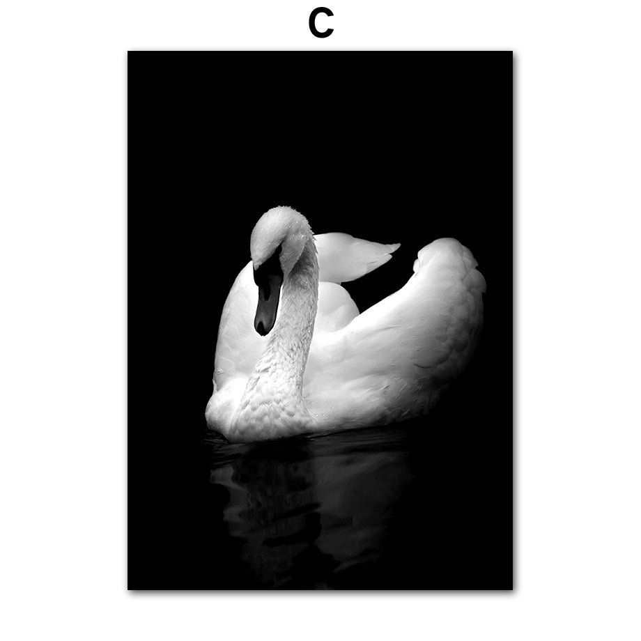 Quadro animali