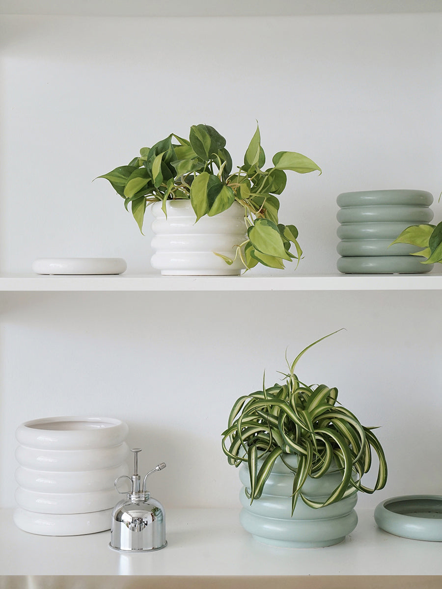 Vaso Ceramica Argentato