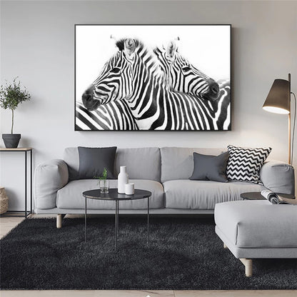 Quadro zebra