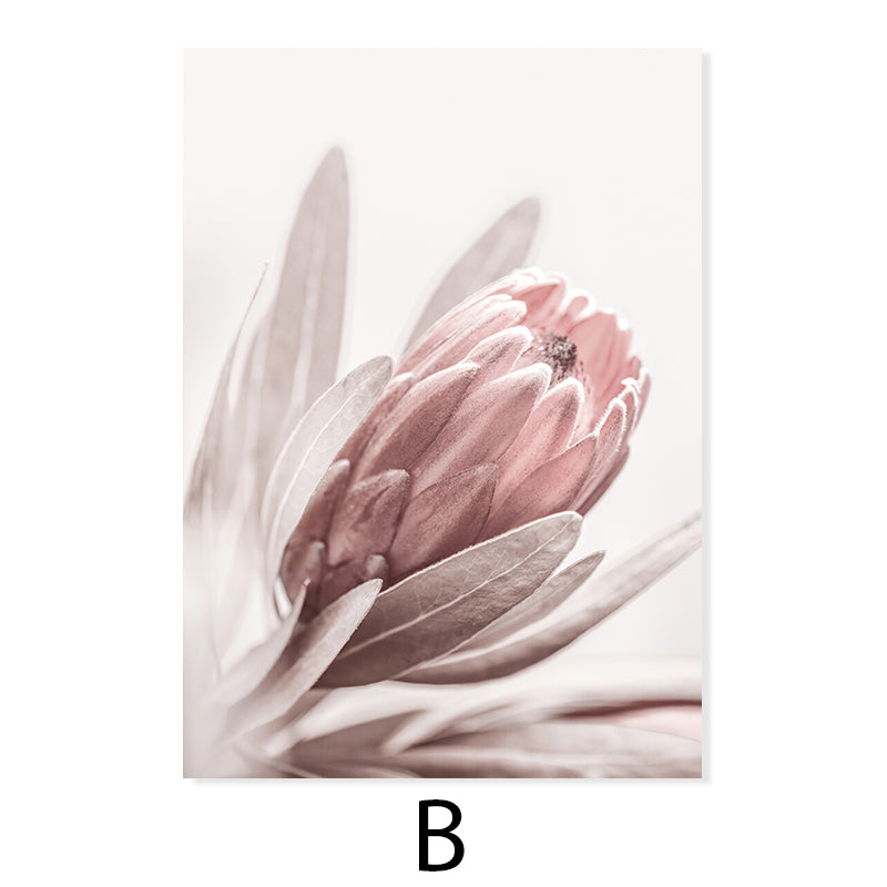 Quadro peonie