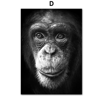 Quadro animali