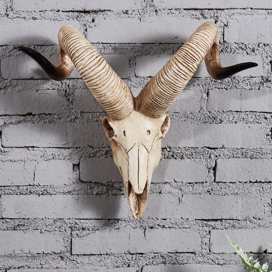 Quadro in MDF Cranio di pecora corna arricciate