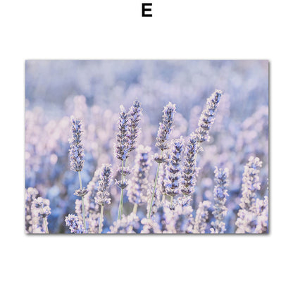 Poster lavanda e bicicletta