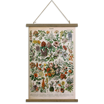 Quadro botanico vintage