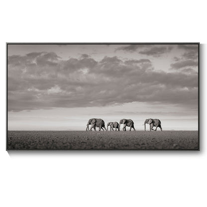 Poster elefante bianco nero