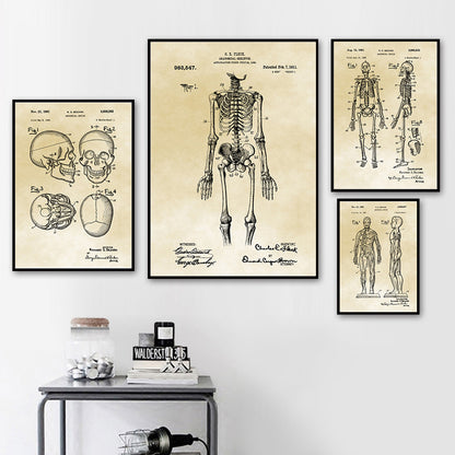 Tela Anatomia Vintage