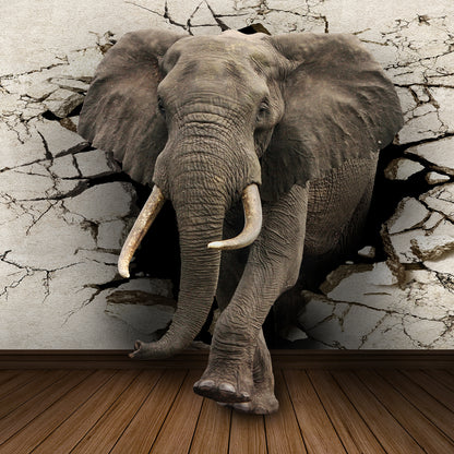 Quadro tela elefante