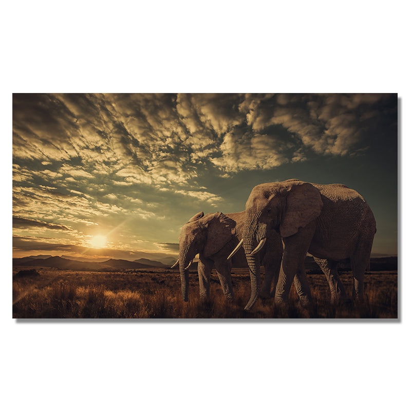Quadro elefante