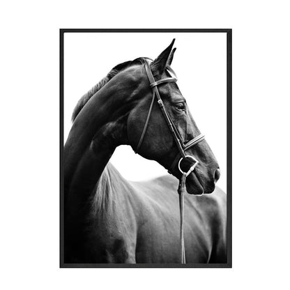 Quadro Cavallo Bianco e Nero