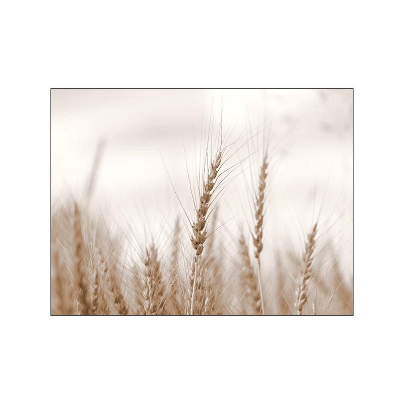 Quadro Paesaggio Panoramico