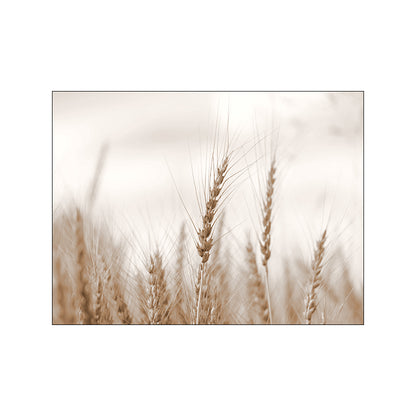 Quadro Paesaggio Panoramico
