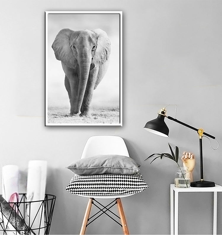 Poster tigre e leone bianco-nero