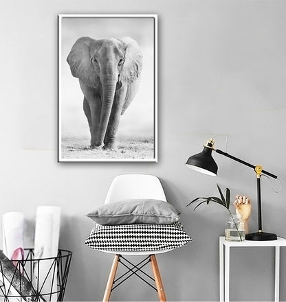 Poster tigre e leone bianco-nero