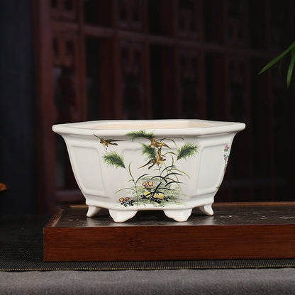 Vaso per piante