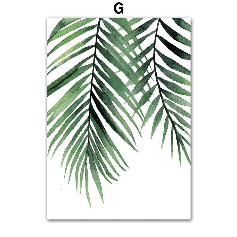Poster Foglia di monstera