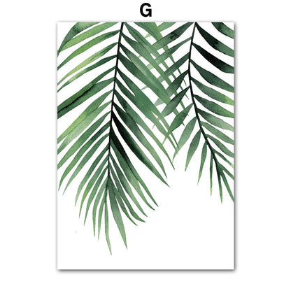 Poster Foglia di monstera