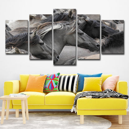 Set 5 Quadri Cavalli