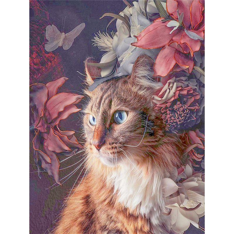 Quadro da dipingere gatto