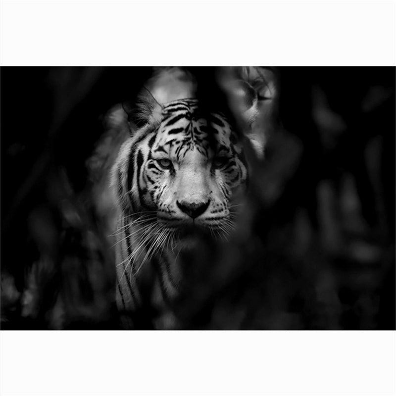 Quadro Testa di Tigre