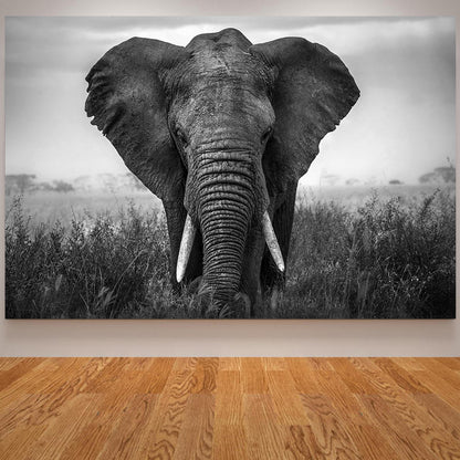 Poster Elefante Minimalista