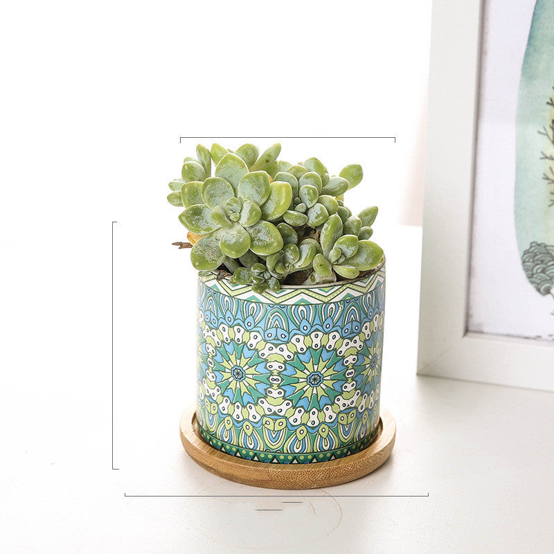 Vaso piante grasse mandala