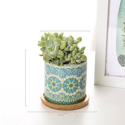 Vaso piante grasse mandala