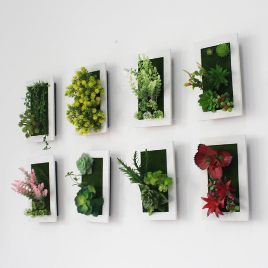 Decorazione parete piante grasse