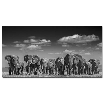 Poster elefante bianco nero