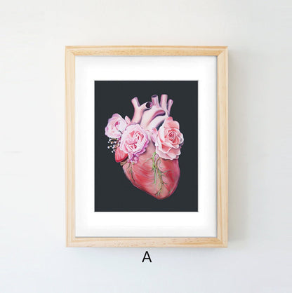 Quadro anatomico