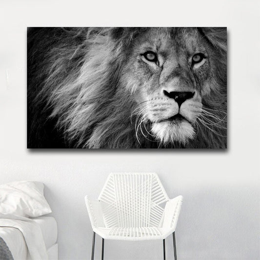 Quadro su tela Leone in bianco e nero