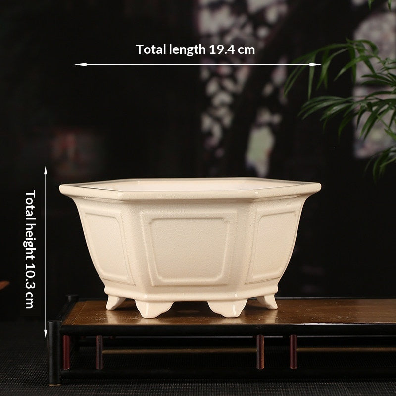 Vaso per piante