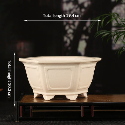 Vaso per piante
