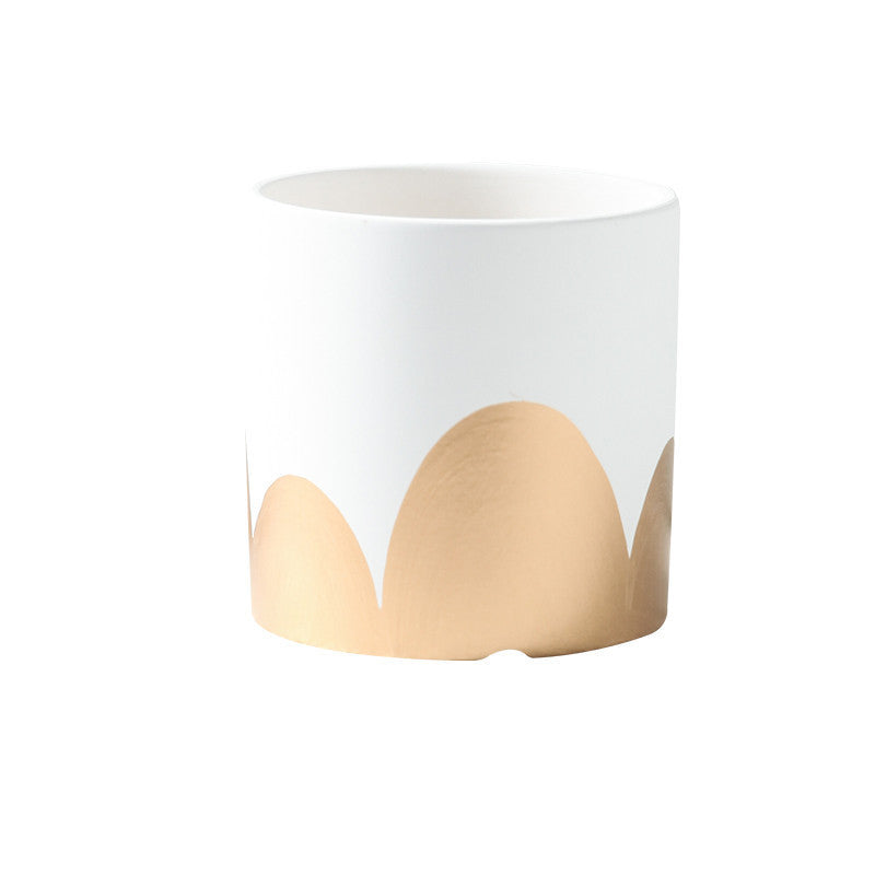 Vaso piante grasse