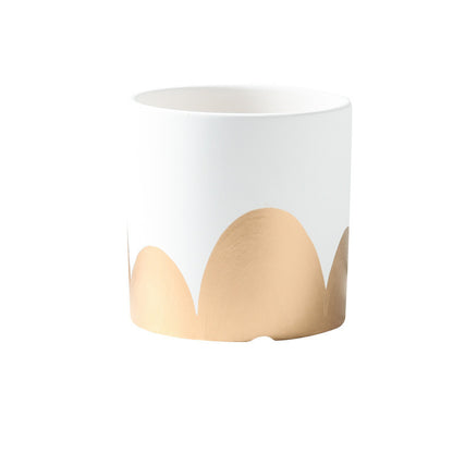 Vaso piante grasse
