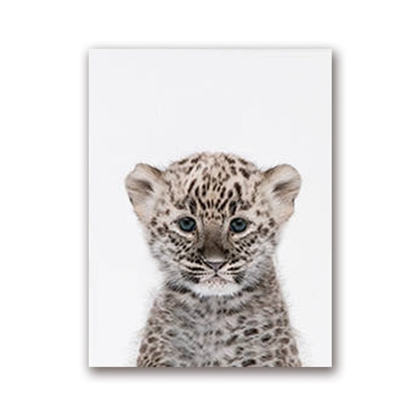 Quadro fauna selvatica