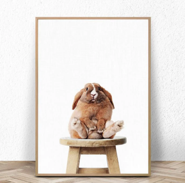 Quadro coniglio seduto