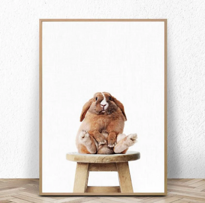 Quadro coniglio seduto