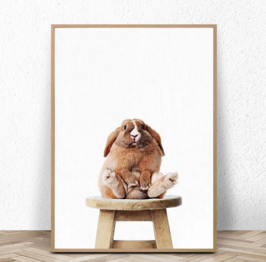 Quadro su tela Coniglio seduto